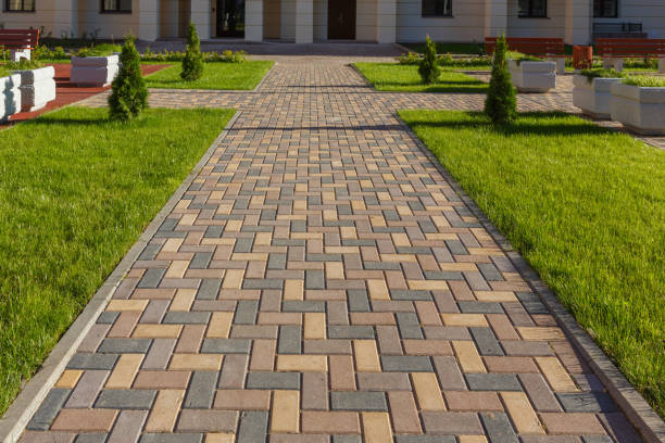 Best Driveway Paving Contractor  in Kannapolis, NC